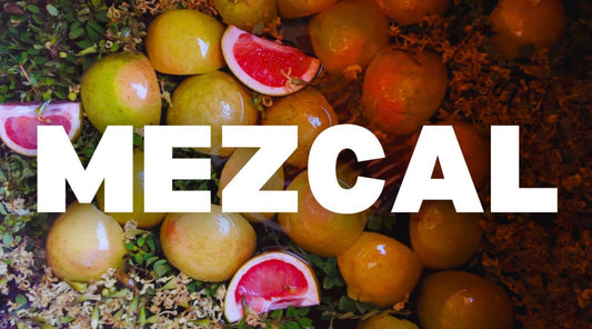 How To Make Mezcal: Our Journey to Oaxaca Mexico